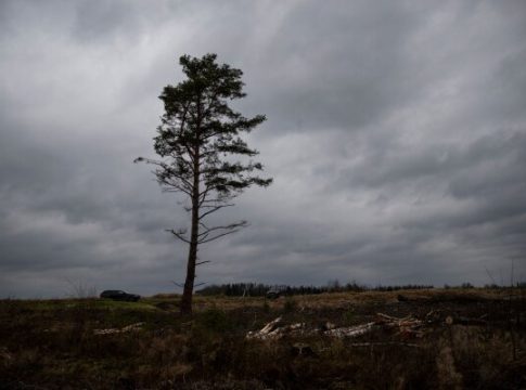 maa-hinna-suur-kukkumine-kaivitas-tehinguturu