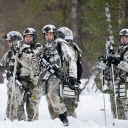 meedia:-soome-paigutatavate-nato-vagede-eest-hakkab-vastutama-rootsi