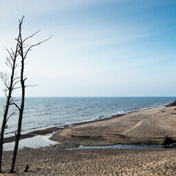 estonia-laevahuku-30.-aastapaevaks-valmis-visuaalne-muusikaelamus