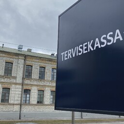 vaimse-tervise-teemadega-tegelemine-suurendaks-perearstide-koormust