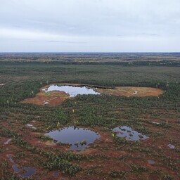 alutaguse-rahvuspark-on-muutumas-lahemaaga-sama-suureks