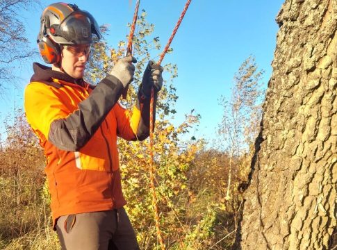 arborist:-sugisel-tuleb-koduaias-oksi-karpida-vaga-ettevaatlikult,-valesti-tegutsedes-voib-puud-hukka-saata