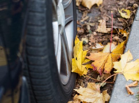 pilt-selgeks:-kas-soidutee-serva-kogunenud-lehtede-koristamine-on-samuti-linnaelanike-kohustus?