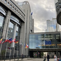 err-brusselis:-europarlament-alustas-volinikukandidaatide-kuulamistega