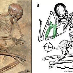 neandertallaste-komme-surnuid-matta-vois-saada-alguse-lahis-idas